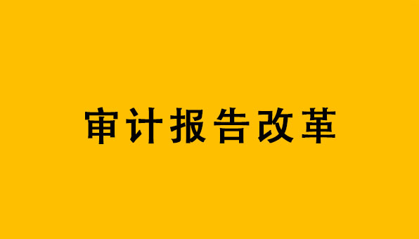 浅谈财务审计报告改革