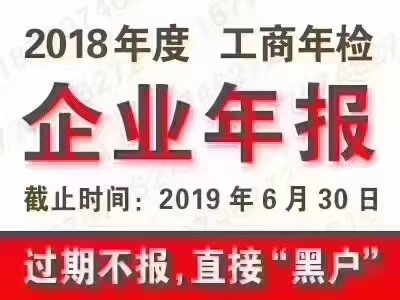 2019年公司年报内容