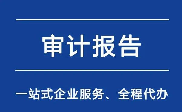 公司税务审计报告有几种？